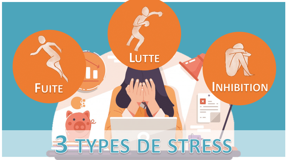 3 types de stress - fuite-lutte-inhibition